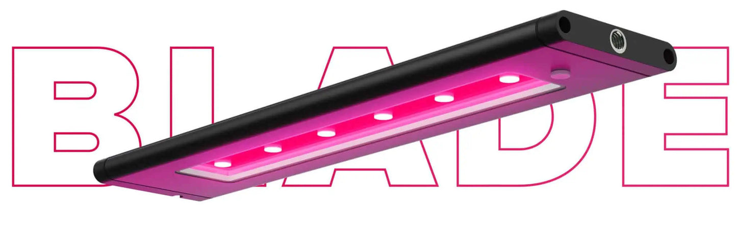 AI Refugium SL12