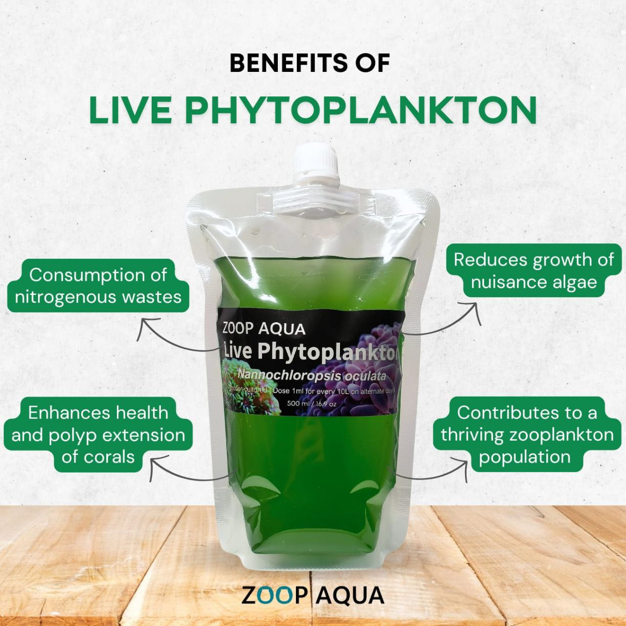 Live Phytoplankton - Nannochloropsis oculata (Green Phyto)
