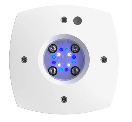 AI Prime 16 SOL White