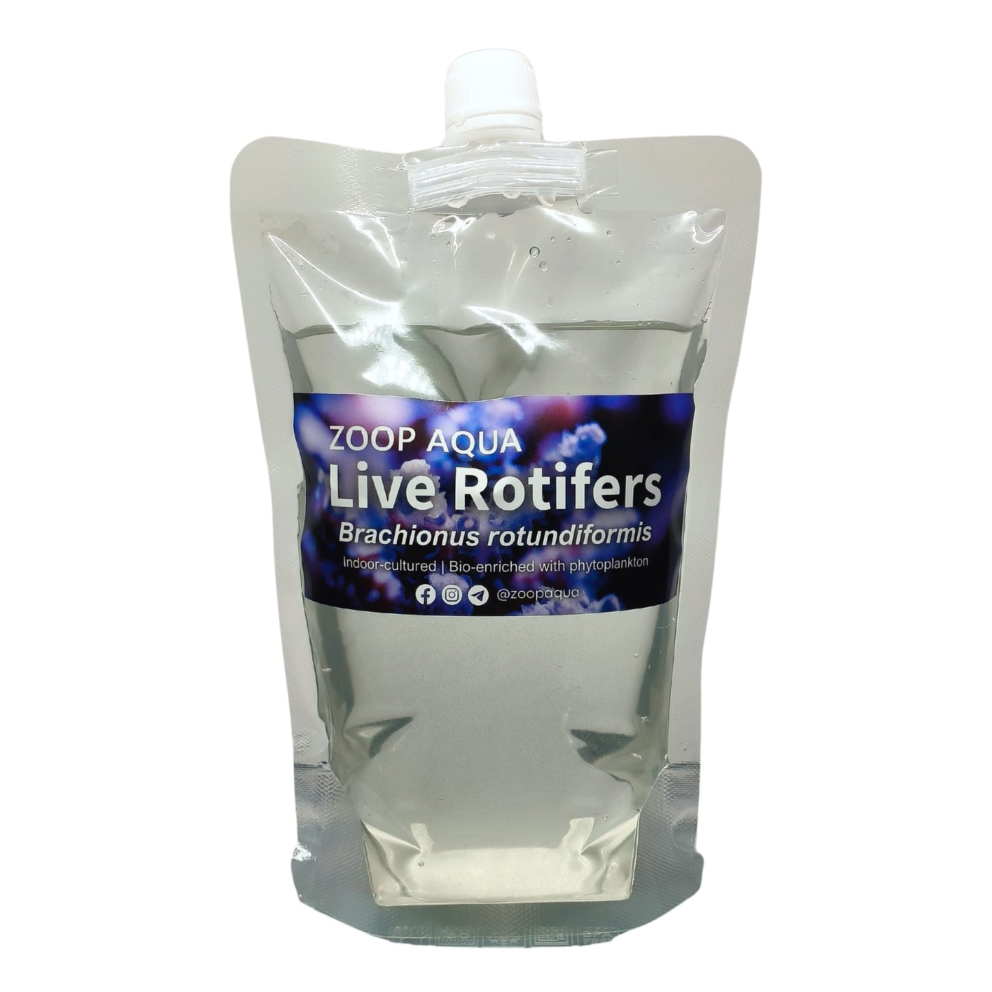 Live Rotifer
