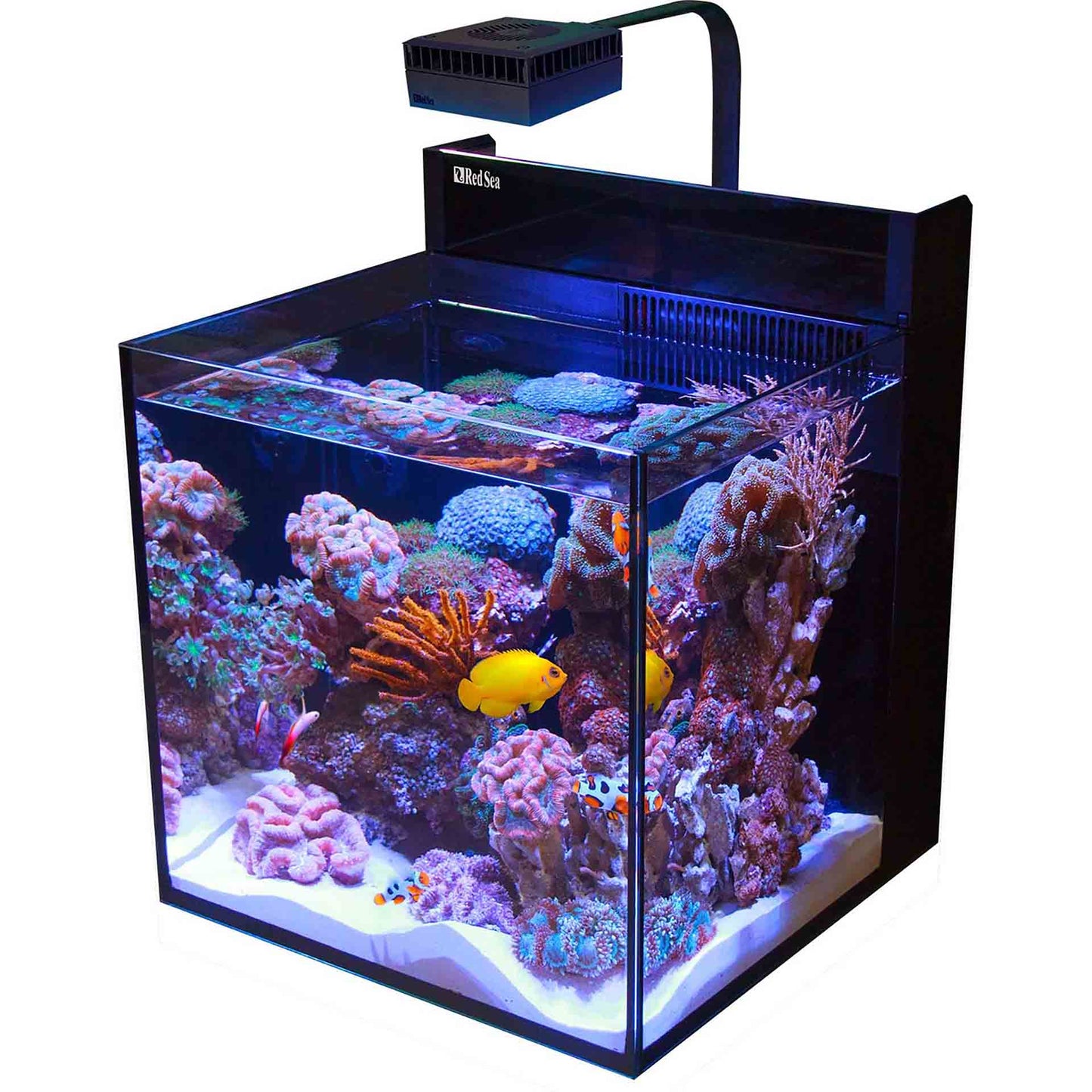 Redsea Max Nano XL G2 - excl. cabinet