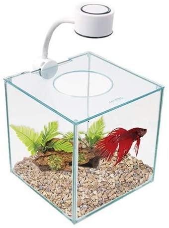 Marina Cube Betta Kit 3.4L
