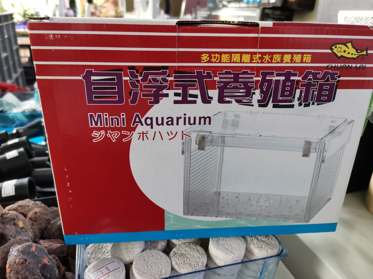 Mini Aquarium