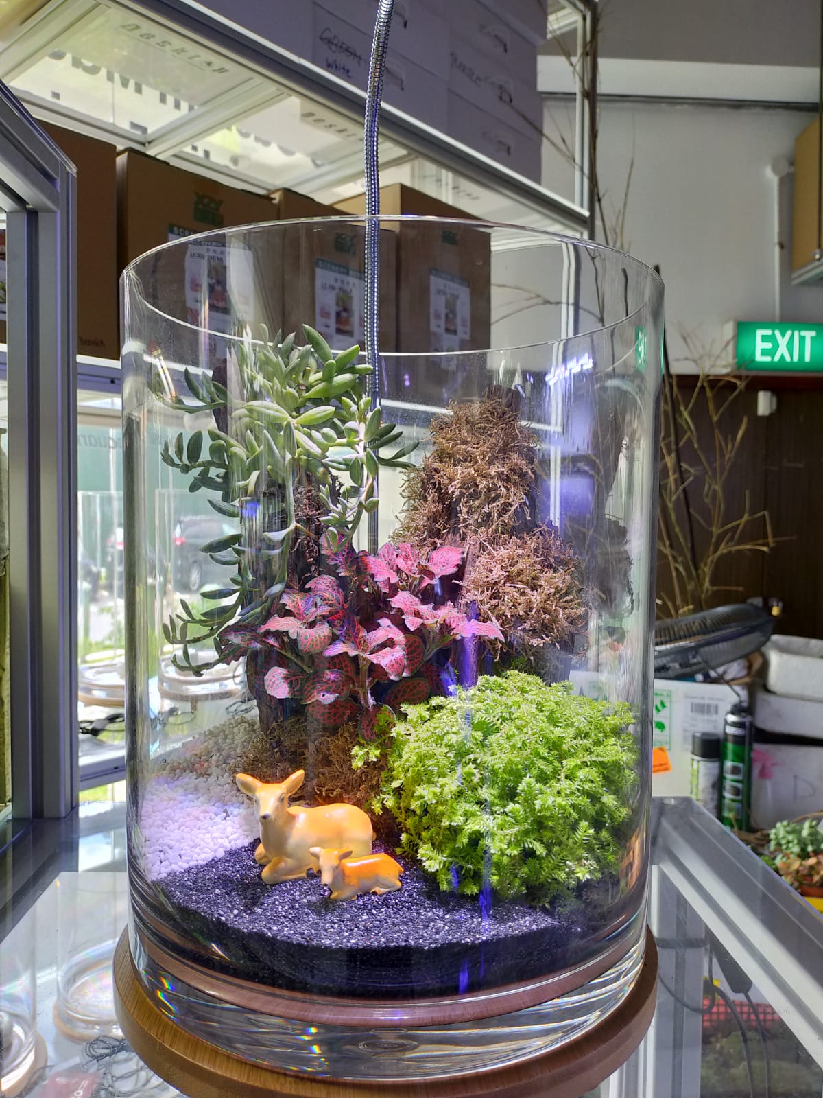 Unbreakable Tank LR300-350GA 336x306x535