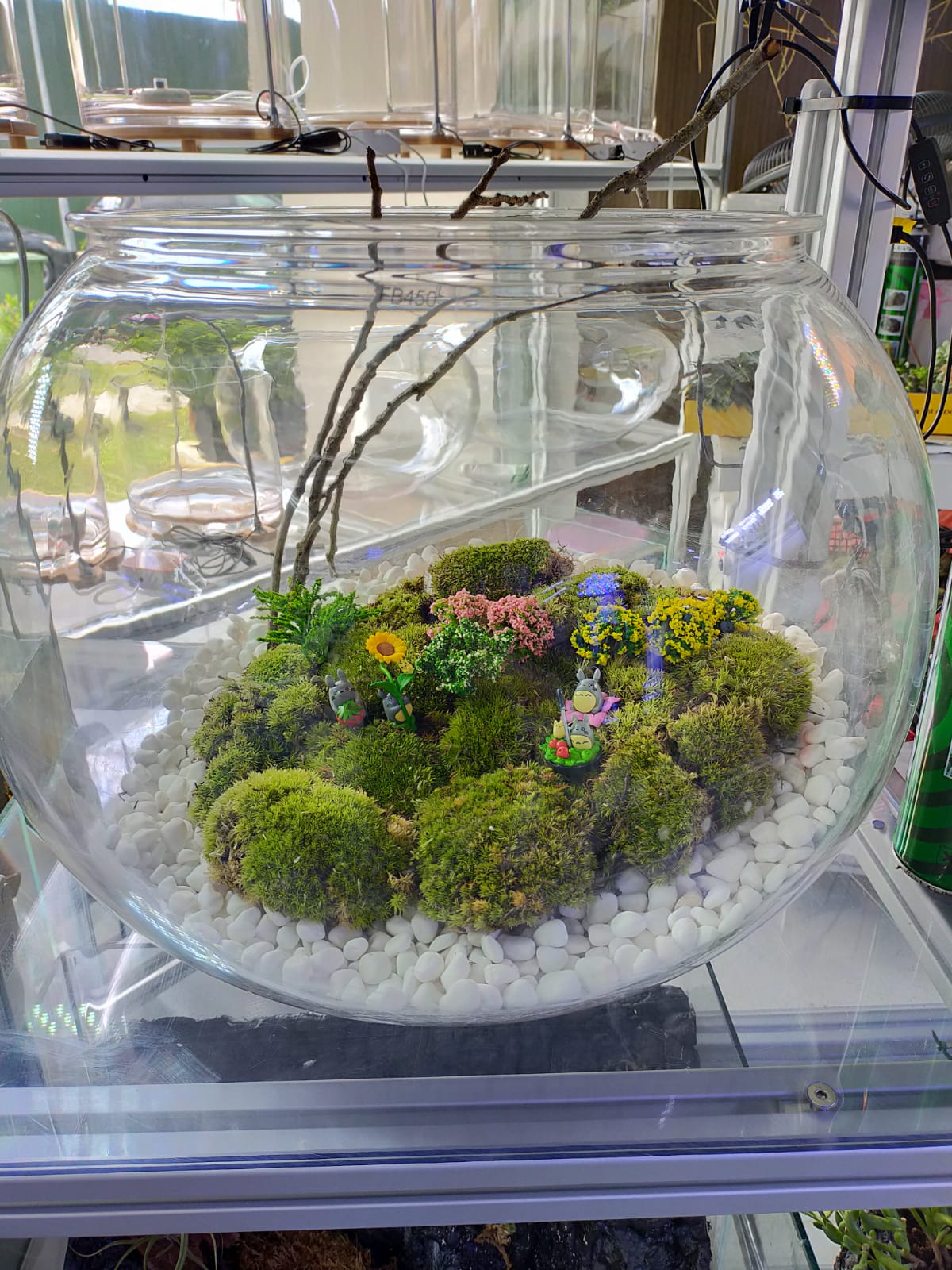 Unbreakable Tank LB600WB 600x528