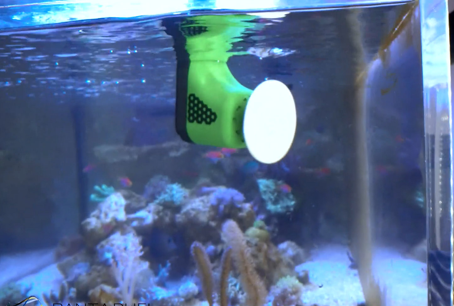 Panta Rhei CD42- underwater aquarium glass/acrylic polishing