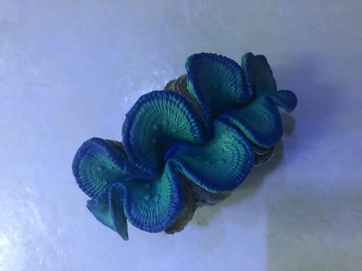 Artificial Coral SH202