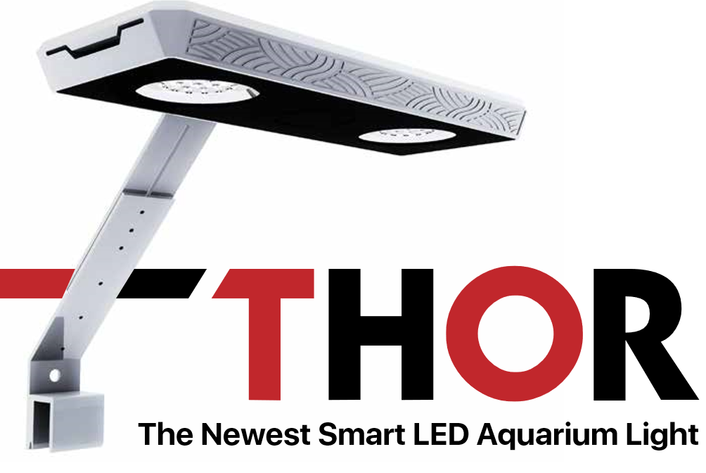 Micmol G4 Thor X (X-120 Planted)