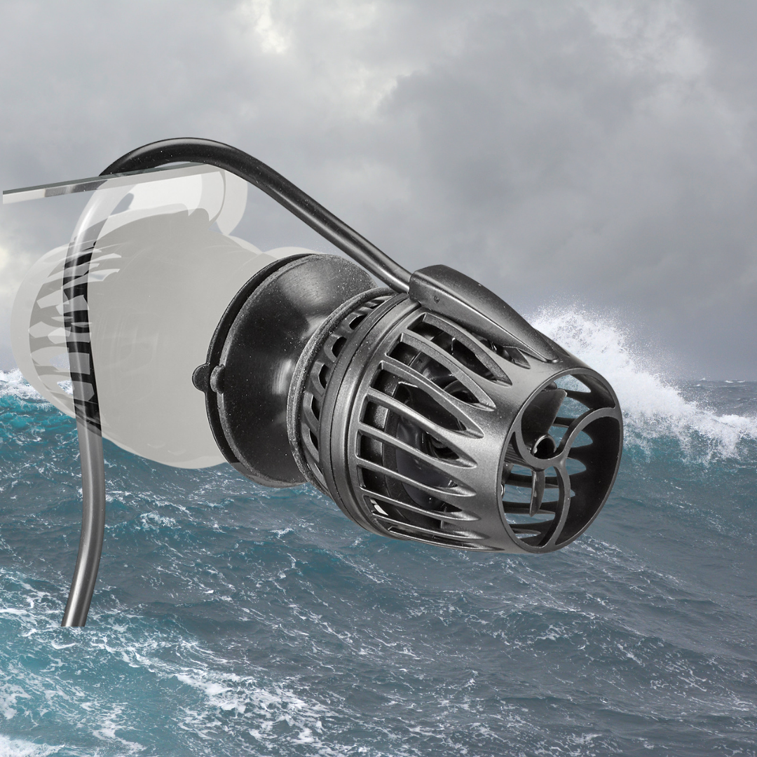 Wavemaker – Page 2 – Specialised Aquatics