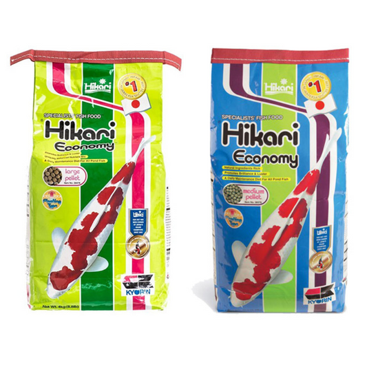 Hikari Economy 4kg