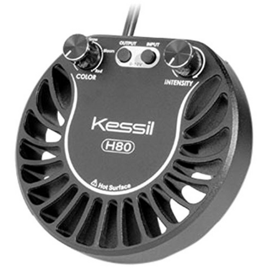 Kessil H80 w/ Mini Gooseneck