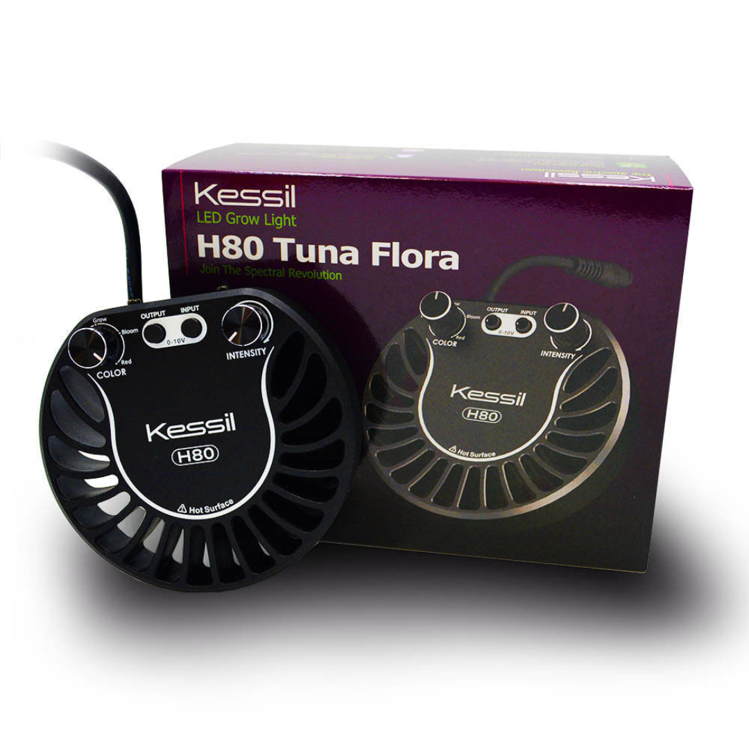 Kessil Tuna Flora H80