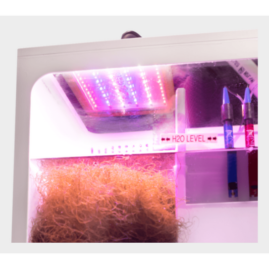 Neptune Systems Gro Light