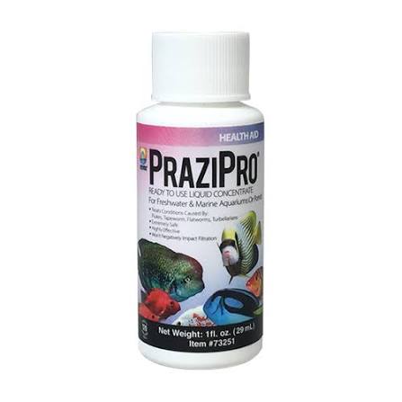 Prazi Pro - 473ml
