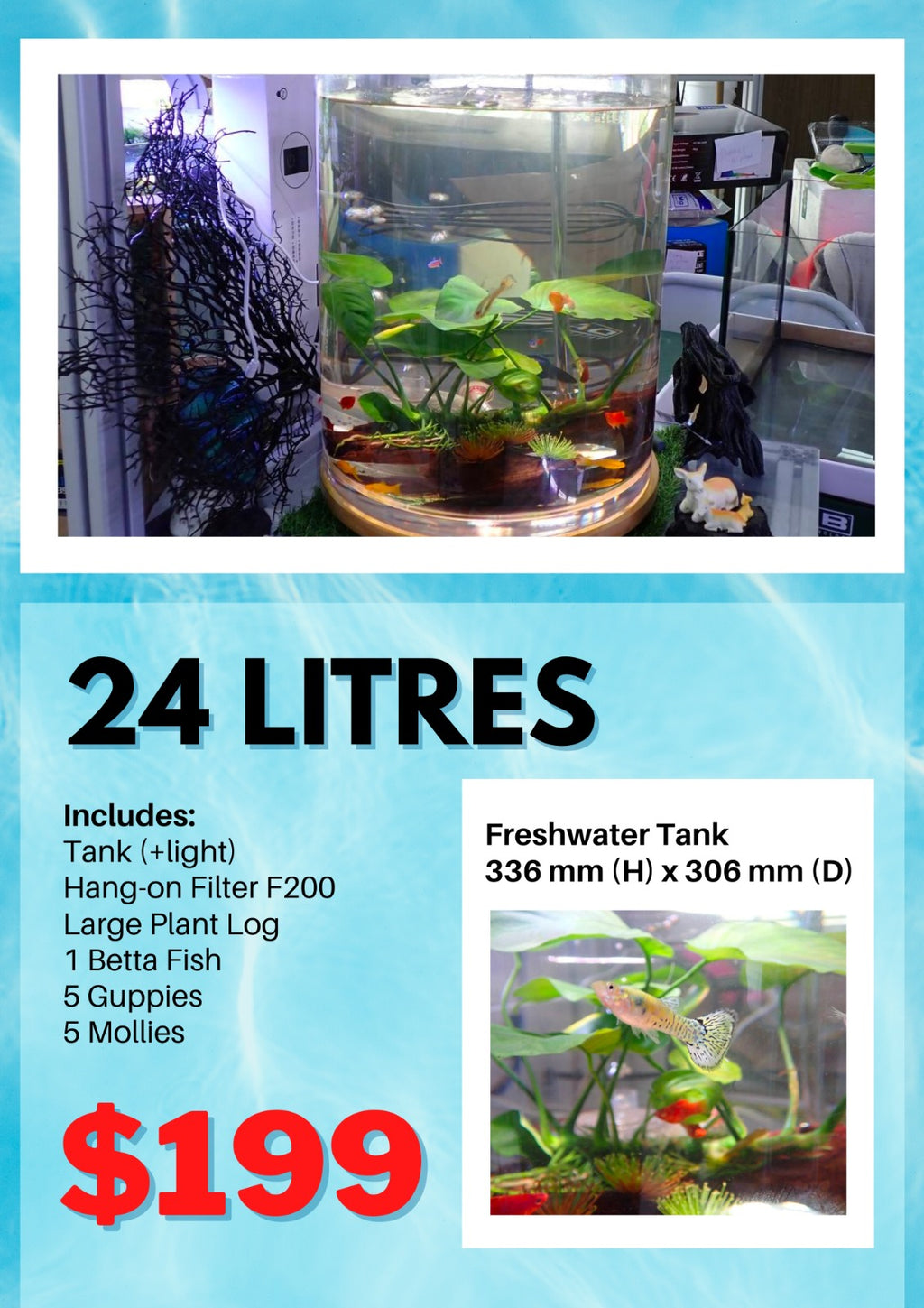 Unbreakable Tank bundle with fish and plants
