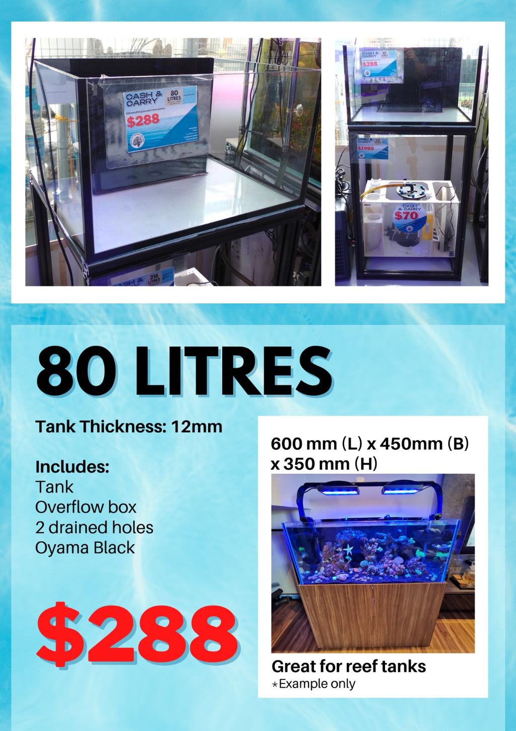 Glass Tank 80 litres