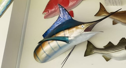 Head Mount Blue Marlin Deco