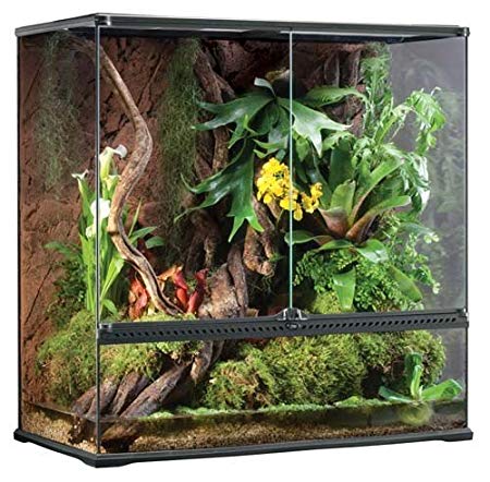 Terrarium Tank (35cmx35cmx50cm)