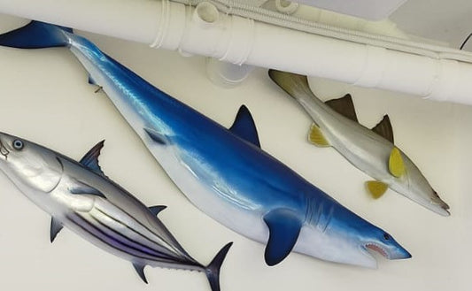 Shark Mako Deco