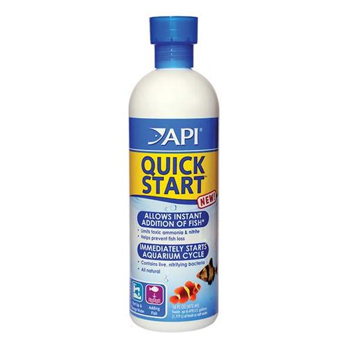 API Quick Start