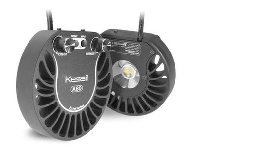 Kessil A80 w/ Mini Gooseneck