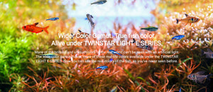 Twinstar RGB LED Light II C - Series (Acrylic Stand) 45cm