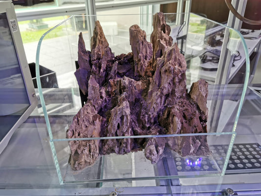 Paludarium Tank (90cm)
