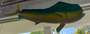 Bull Dolphin Deco