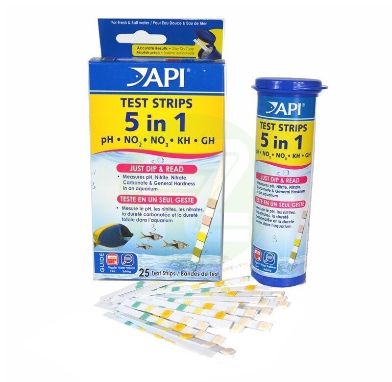 API Test Strips 5 in 1 25 Test Strips – Specialised Aquatics