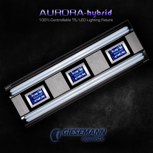AURORA HYBRID 4 x 24 Watt + 1 x 85W LED 600 mm