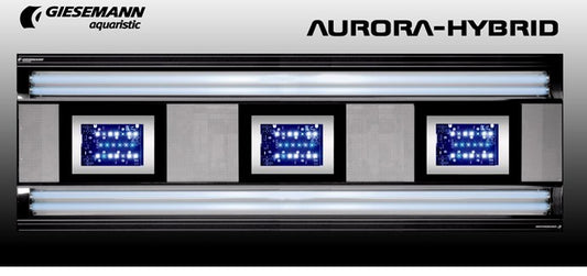 AURORA HYBRID 4 x 54 Watt + 3 x 85W LED 1200 mm