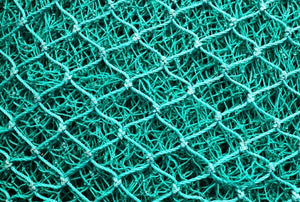 Koi Fish Net