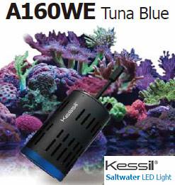 Kessil A160WE Controllable LED