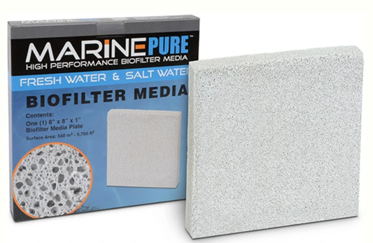 MARINE PURE PLATE 8X8X1"