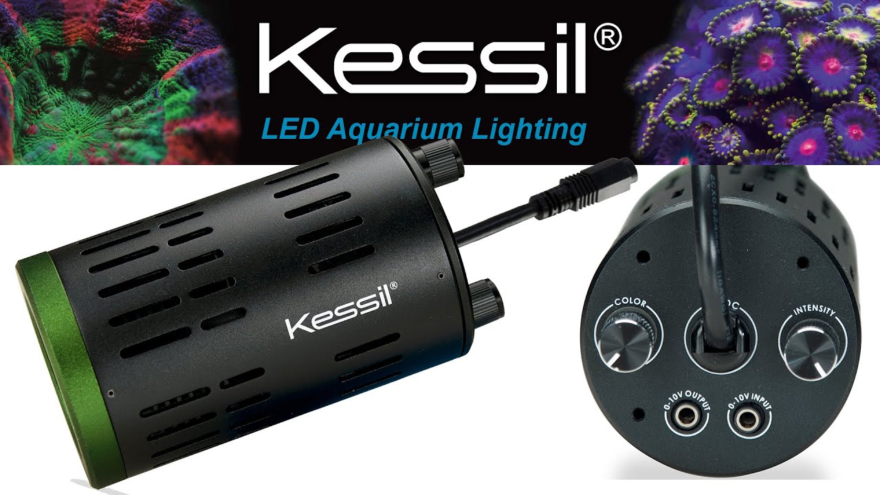 Kessil A160WE Controllable LED