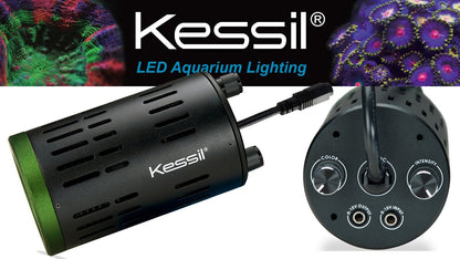 Kessil A160WE Controllable LED