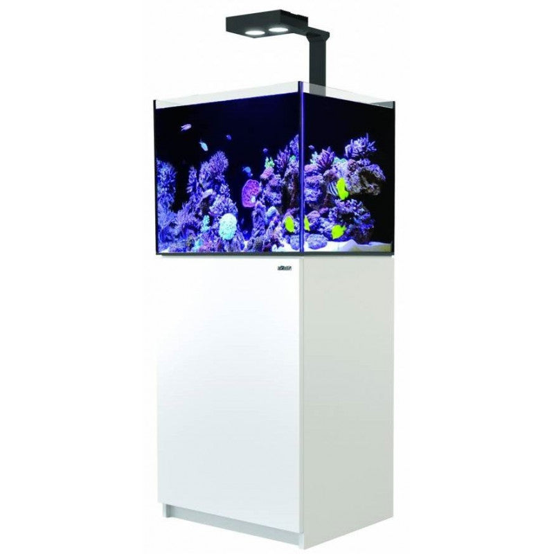 Red sea G2 Deluxe 170 incl. 1 x RL90 & mounting arm