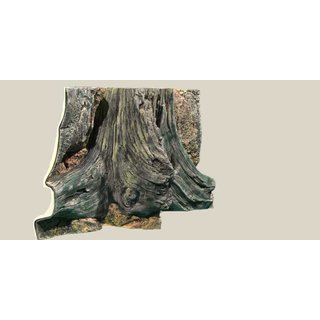 Back to Nature 3D Background Mini-Amazonas(L: 60 x H: 30 cm)