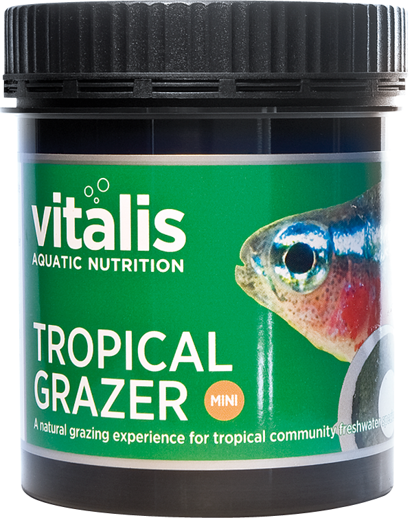 Vitalis Tropical Grazer Mini