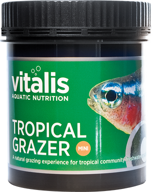 Vitalis Tropical Grazer Mini