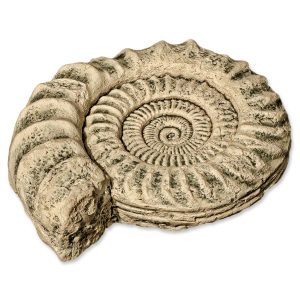Back to Nature Aquarium Modul Ammonit 33 x 30 x 8 cm
